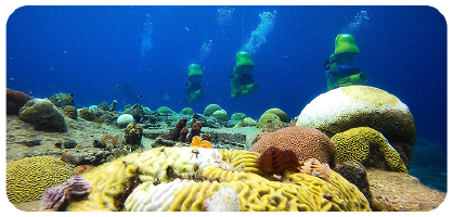Underwater_Scooter_Tour_4